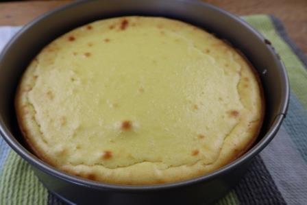 cheese cake fresh from the oven