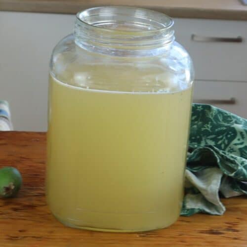 How To Make Fermented Feijoa Drink – My Step By Step Guide | Best ...