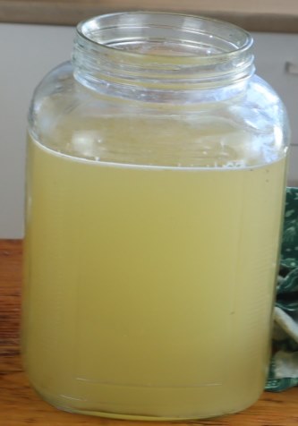 fermented feijoa drink